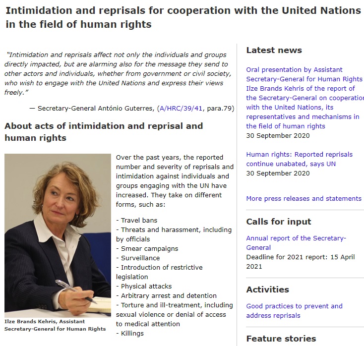 Intimidation_reprisals_UN_Team.jpg