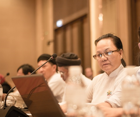 Nguyen_Xuan_Mai_at_SEAFORB_2015.png