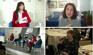 AEI_-_NIskanen_webinar.jpg