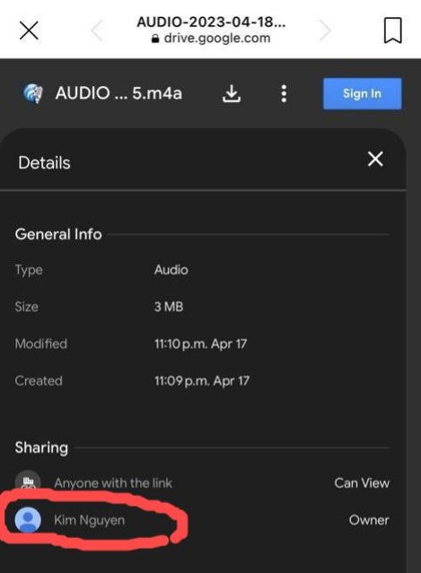Pic_3_-_Metadata_of_audio_file.jpg