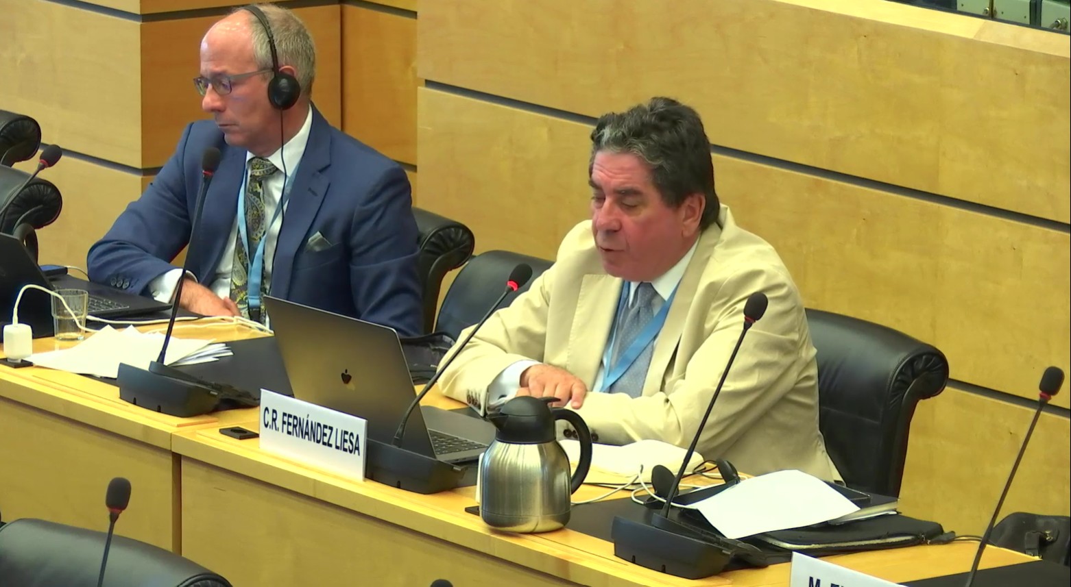 ICCPR Fernandez Liesa 7 July 2025 